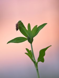 Schlafenszeit