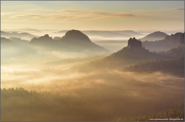 Nebelmorgen im Elbi