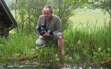 Im Gartenteich