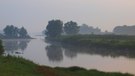 Morgenstimmung an der Elbe bei Bleckede