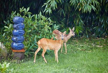 Besuch von "Kunstfreunden" II