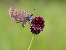 Faszinierende Bescheidenheit