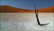 Deadvlei