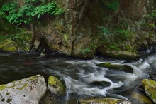 Die Bode im Harz 2014