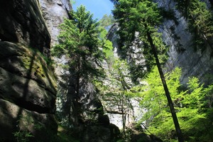 Das Licht am Ende der Schlucht