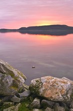 Möve...., oder Abendstimmung am Fjord