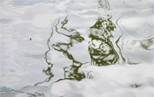 ein Wasserläufer auf  dem Wolkenmeer