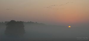 Morgens in Mecklenburg