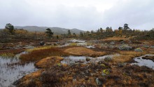 Irgendwo in Südnorwegen