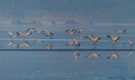 Abflug