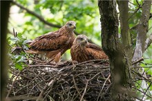 „Vorm Ausfliegen“