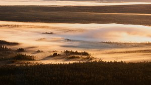 Morgenstimmung im herbstlichen Lappland