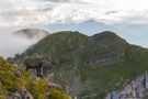 Wegmarkierung im Berner Oberland