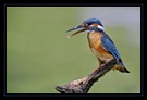 Wassertropfen