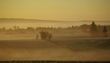 Struth im Morgennebel