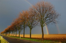 Doppelregenbogen über Wonsheim