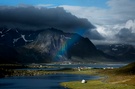 Regenbogen