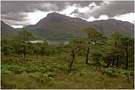 ~ Schottland ~