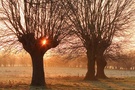 Sonnenaufgang am Niederrhein