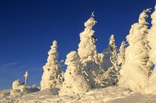 Winter auf dem Lusen