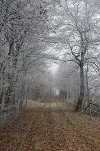 Erster Frost in Ostfriesland