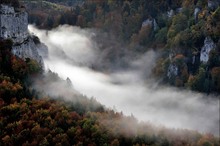 - Nebel über dem Donautal -