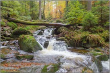 Herbstliches Ilsetal