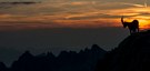 letztes Licht