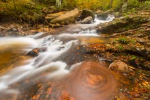 Harz Herbst