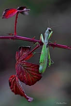 Abschied vom Sommer