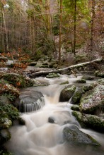 Monbachtal Nordschwarzwald