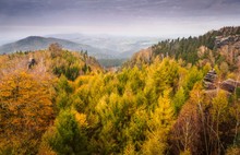 Es herbstelt in der Sächsischen Schweiz