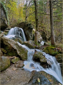 Myrafälle...die Dritte*