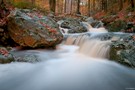 Ternellbach im Herbst