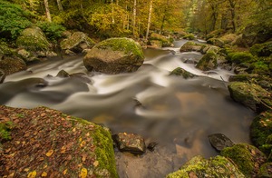 Herbst