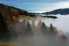 Herbstnebel