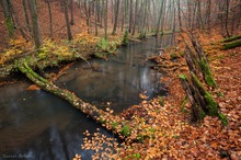 Schlaubeimpression im Herbst