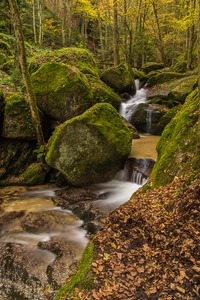 Wolfsschlucht