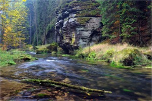 ~ Divoká soutěska ~