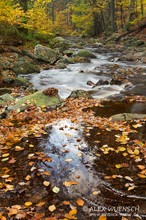 Herbst am Fluss die 2.