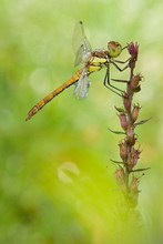 Mal wieder ein Makro