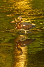 Farbenschmiede Natur