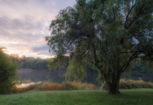 Herbst am See