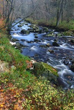 Spätherbst in den Ardennen