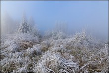 Ein Hauch von Blau...