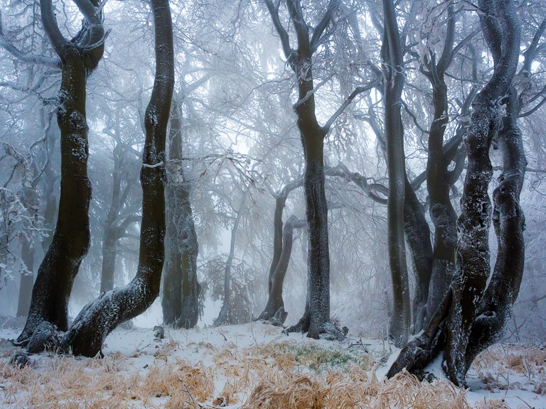 Nebel und Eis