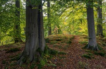 Herbstwanderung