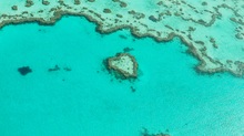 Heart Reef