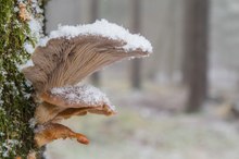 Kurzer Wintereinbruch...