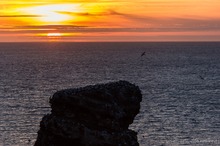 Sonnenuntergang am Felsen